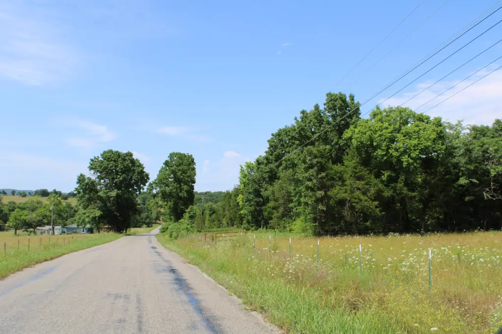Picture 33