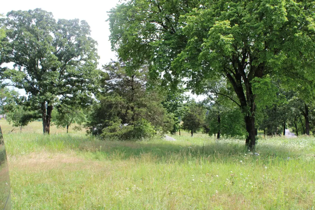Picture 8