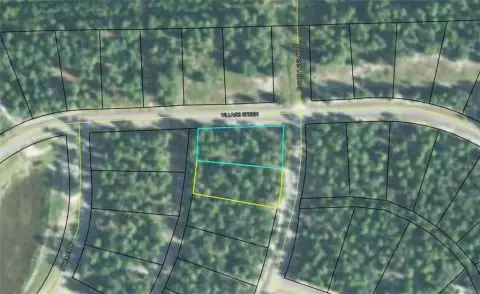 Shellman Bluff Residential Lot