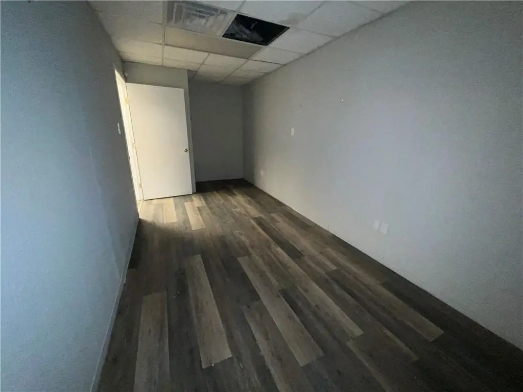 Picture 3