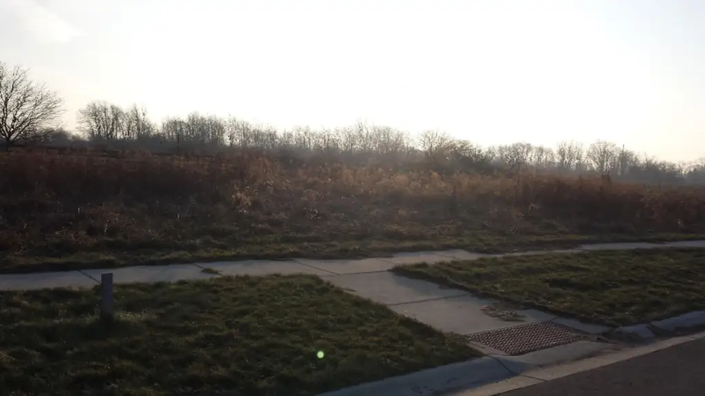 Picture 4