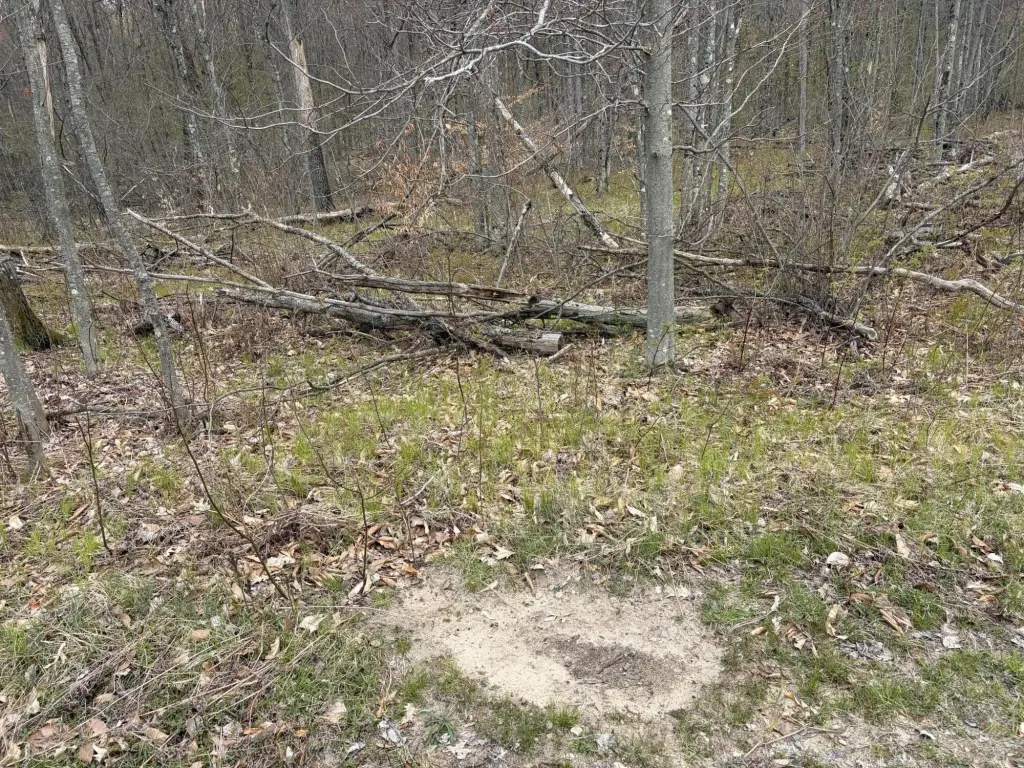 Picture 18