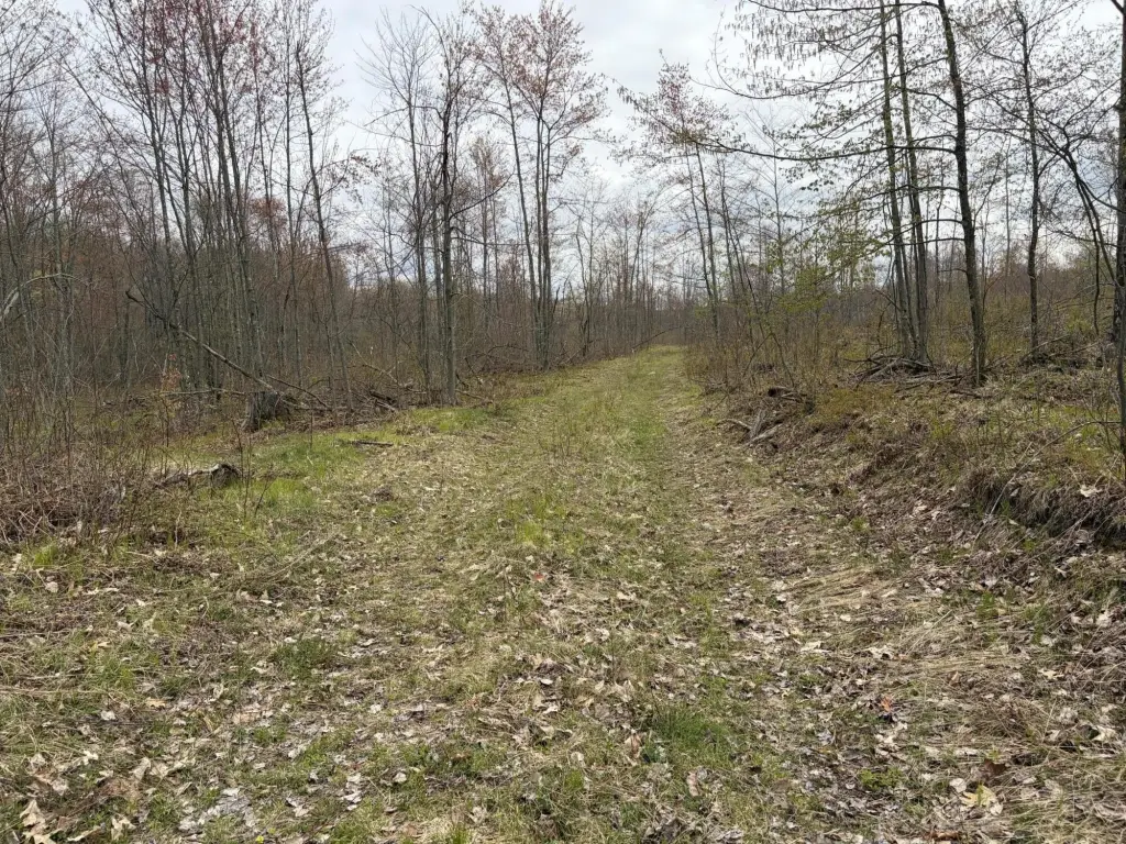Picture 16