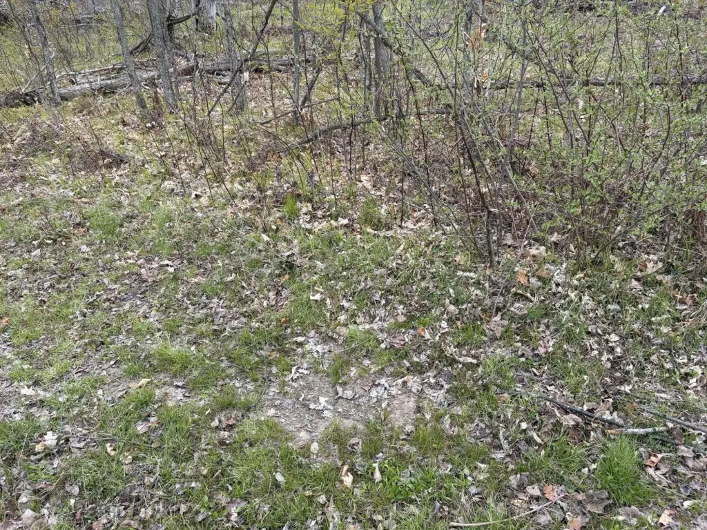 Picture 35
