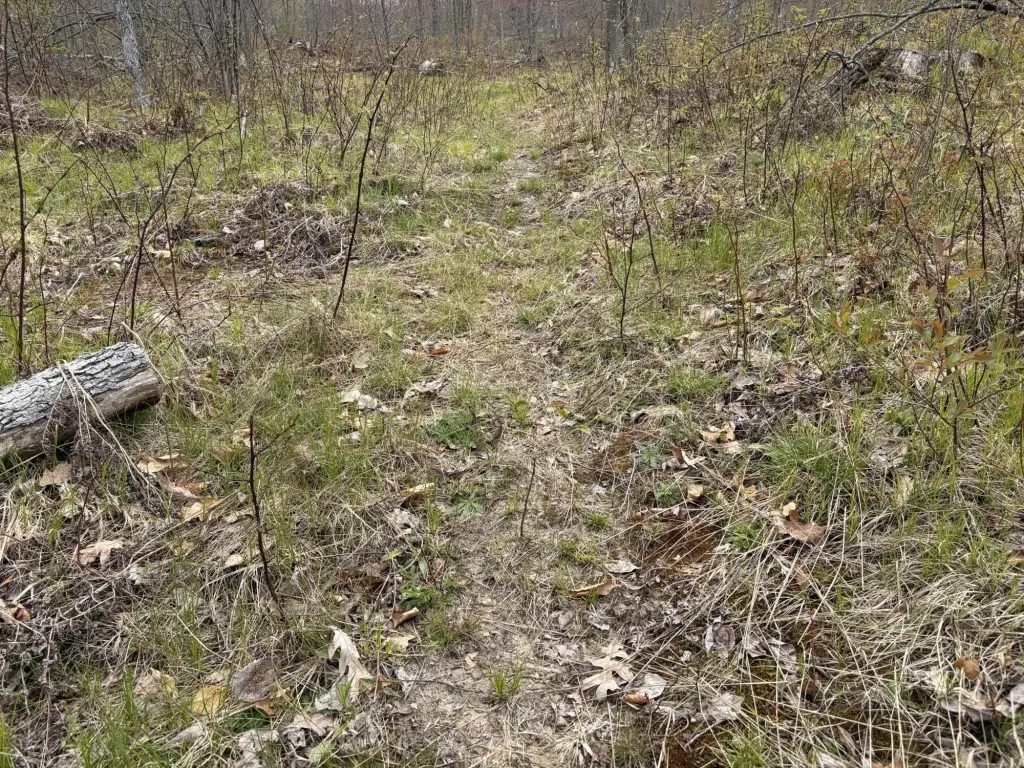 Picture 39