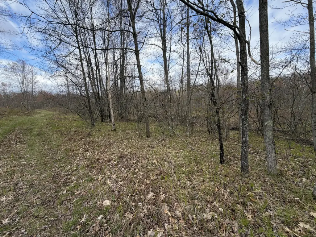 Picture 41