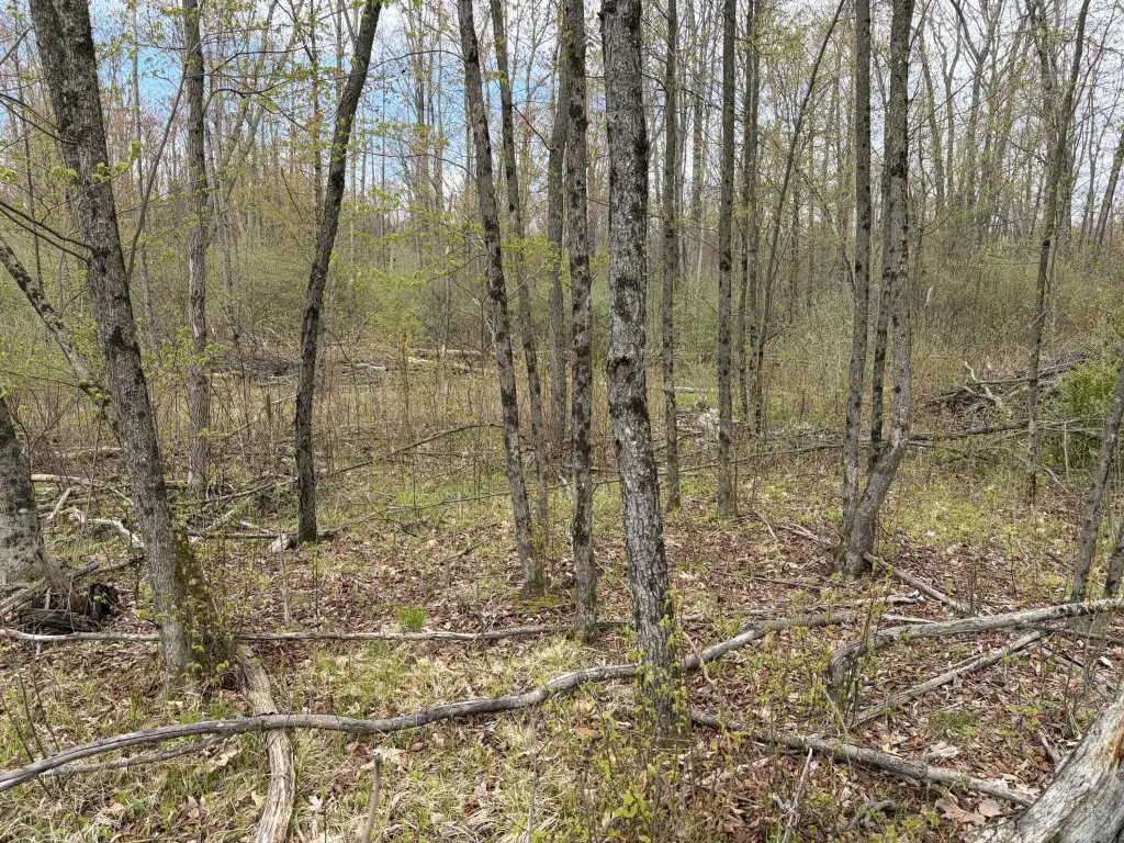 Picture 25