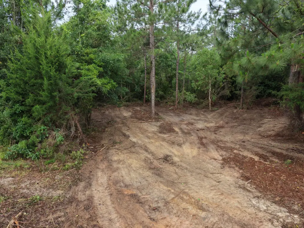 Picture 14