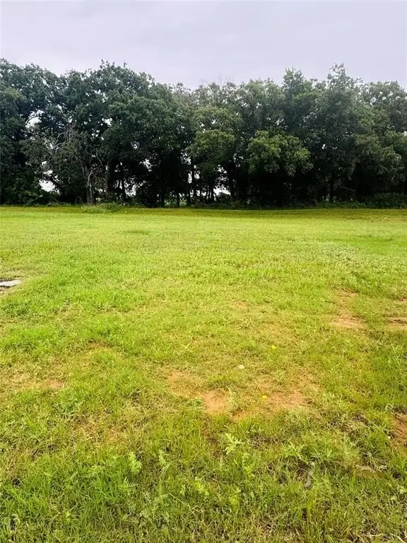 Picture 3