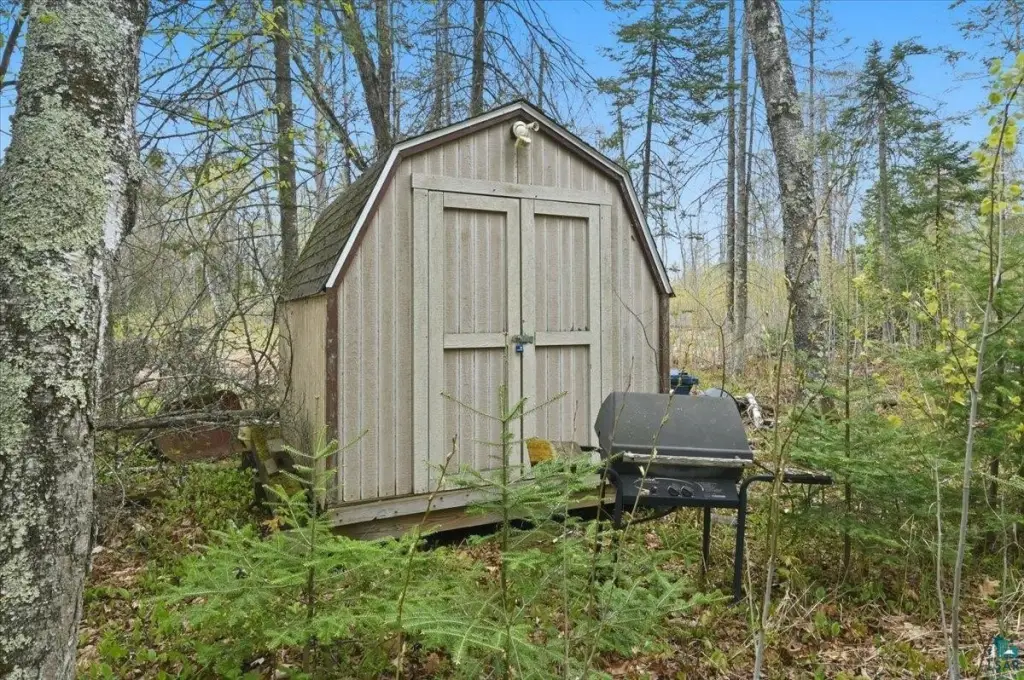 Picture 5