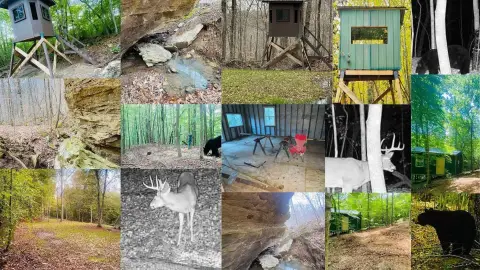 Kentucky Mountain Retreat with Cabin