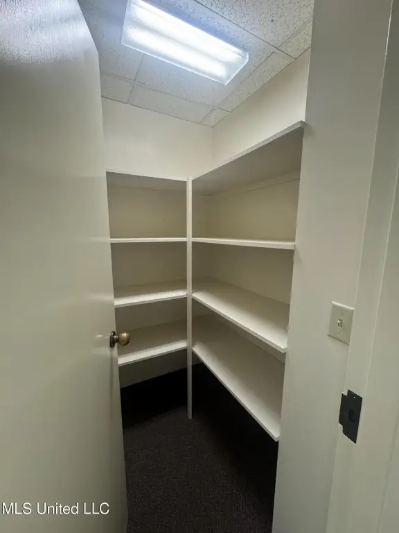 Picture 24