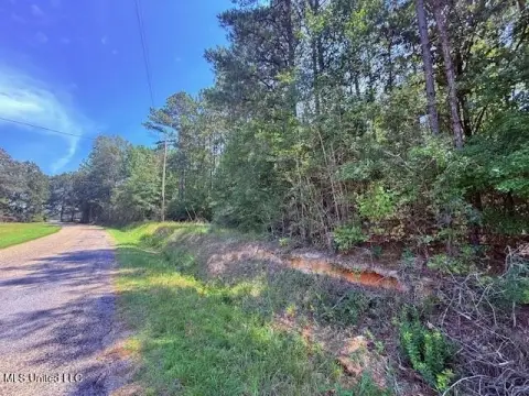 Tylertown, MS Hunting Land