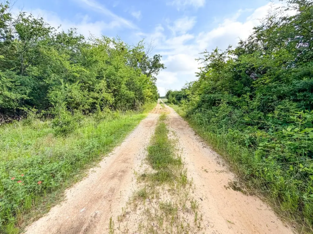 Picture 25