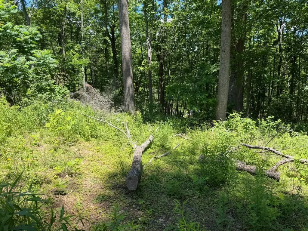 Picture 24