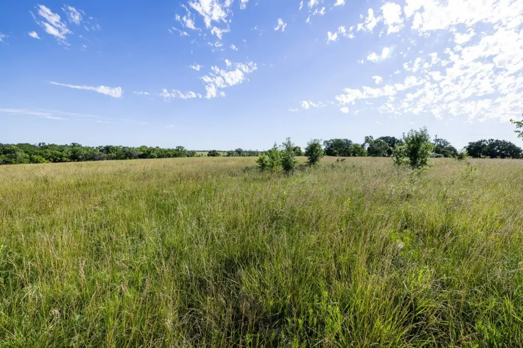 Picture 41
