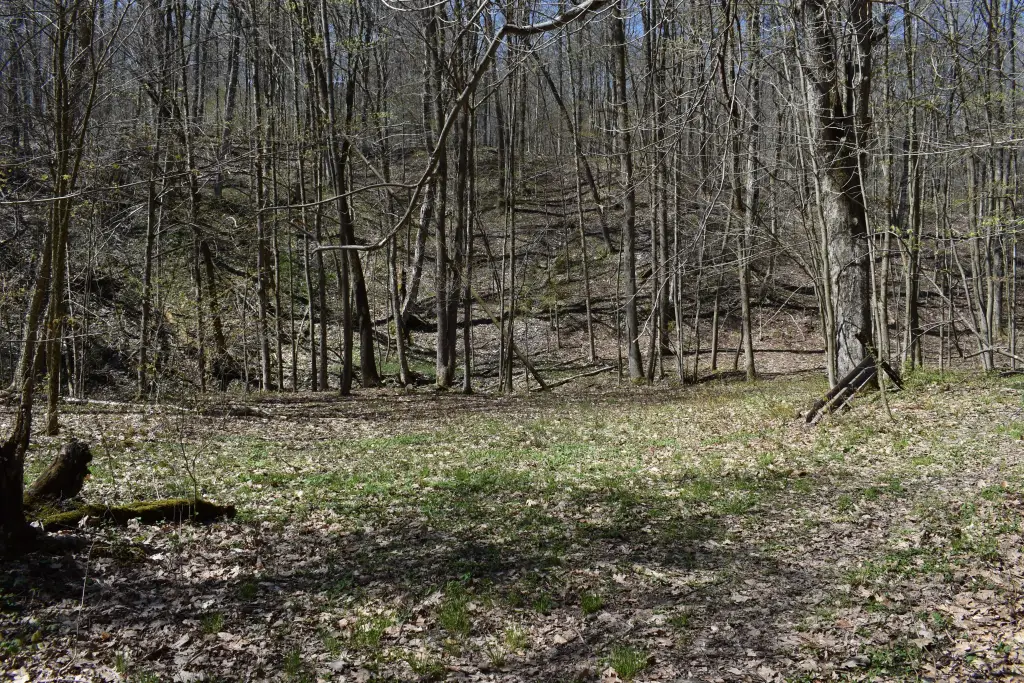 Picture 3