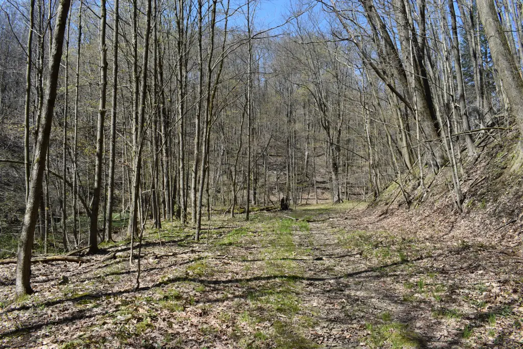 Picture 5