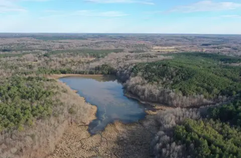 Expansive Acreage with Timber Value