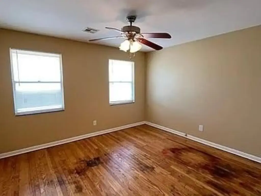 Picture 15