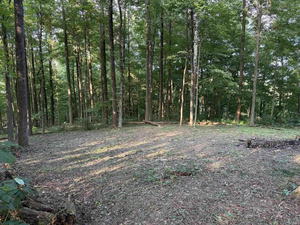 Picture 6
