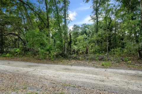 Pristine Land in Inverness, FL