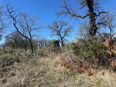 64 Acres in Texas Hill Country