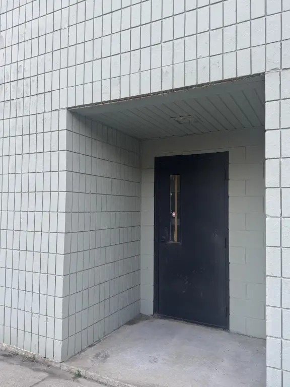 Picture 5