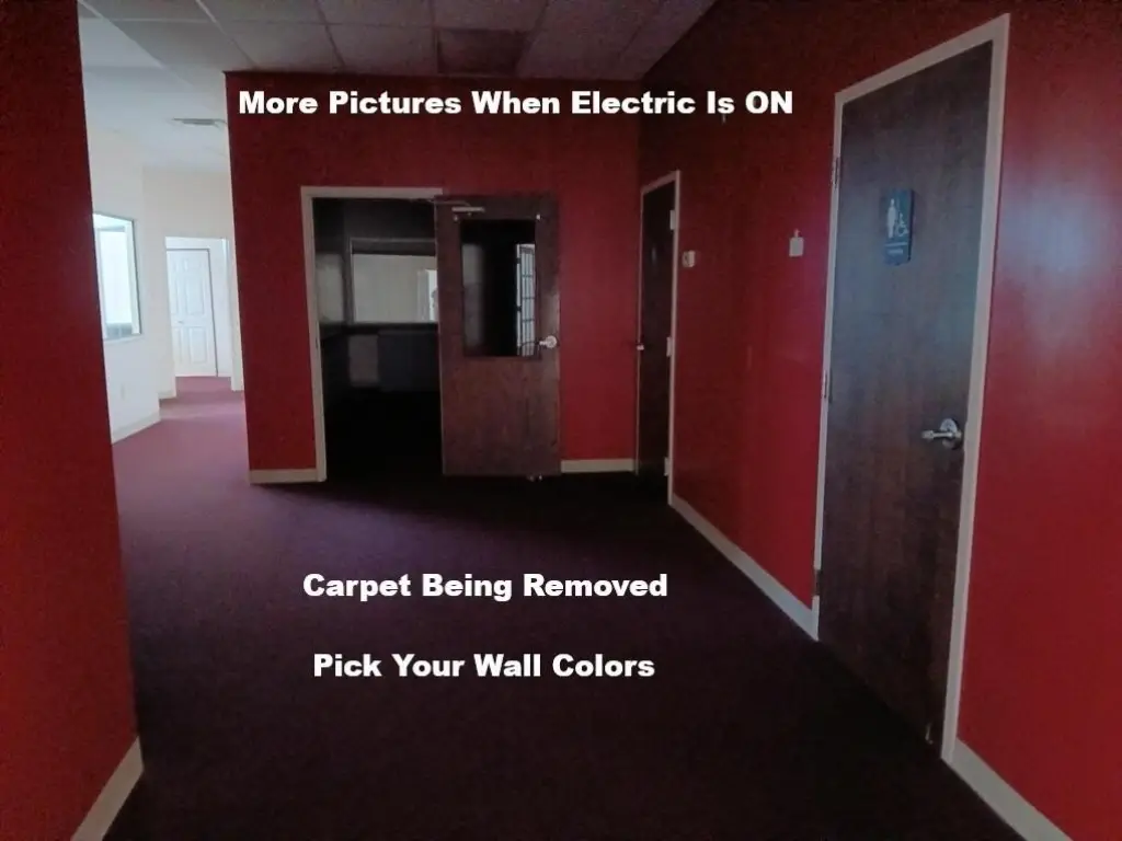 Picture 5