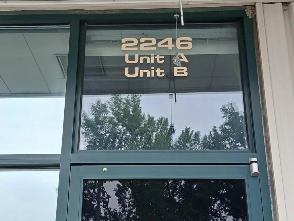 Picture 13