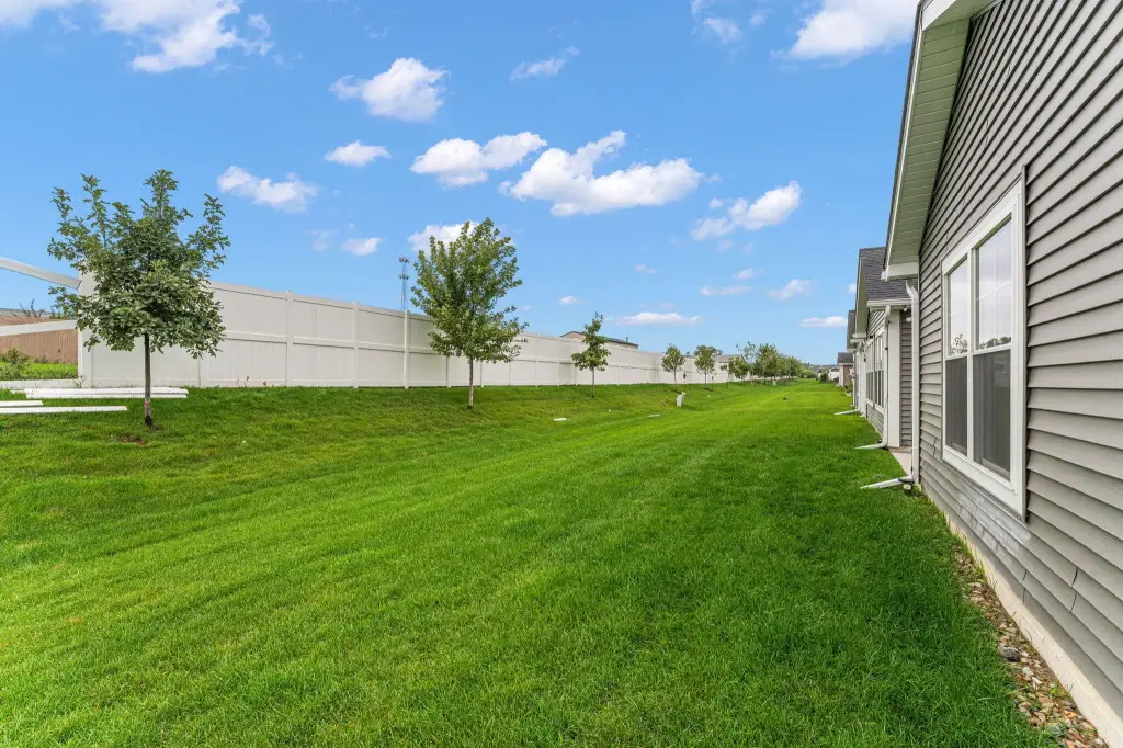 Picture 26