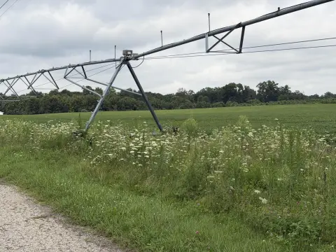 Irrigated Agricultural Land