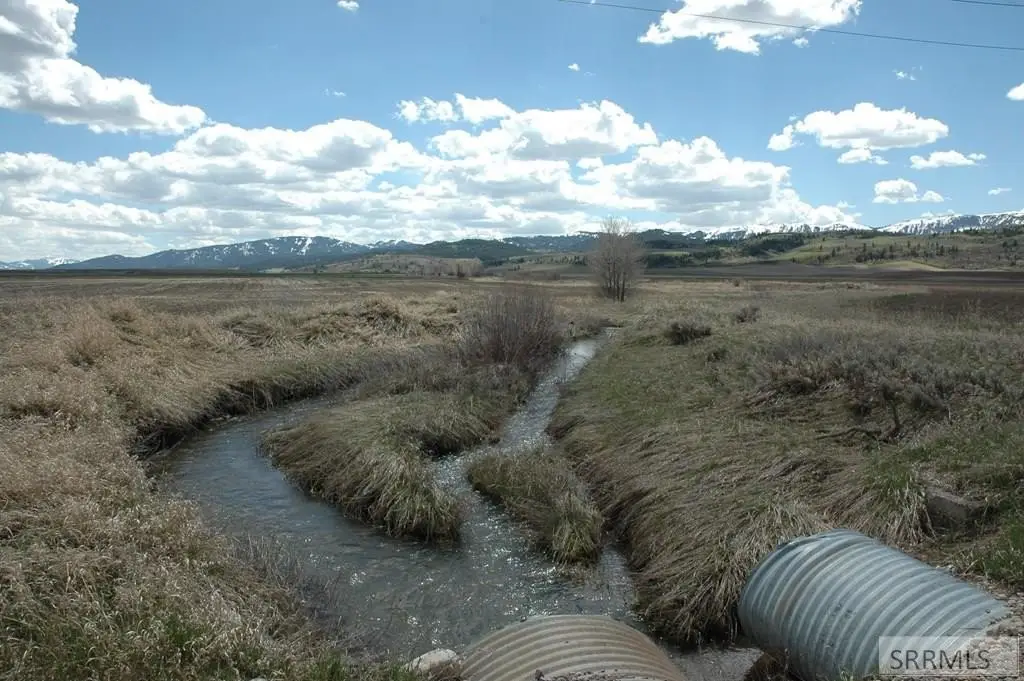 Picture 8