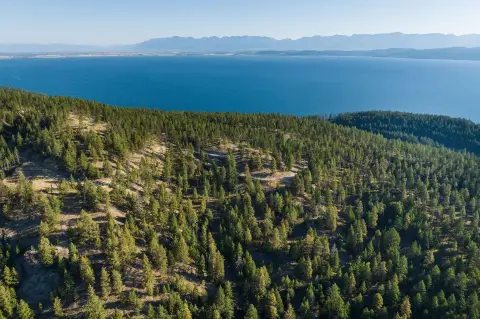 Lakeside Land with Panoramic Views