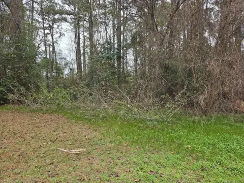 Wooded Acreage Near Sam Rayburn