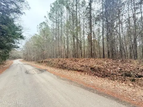 Camden, MS Recreational Land