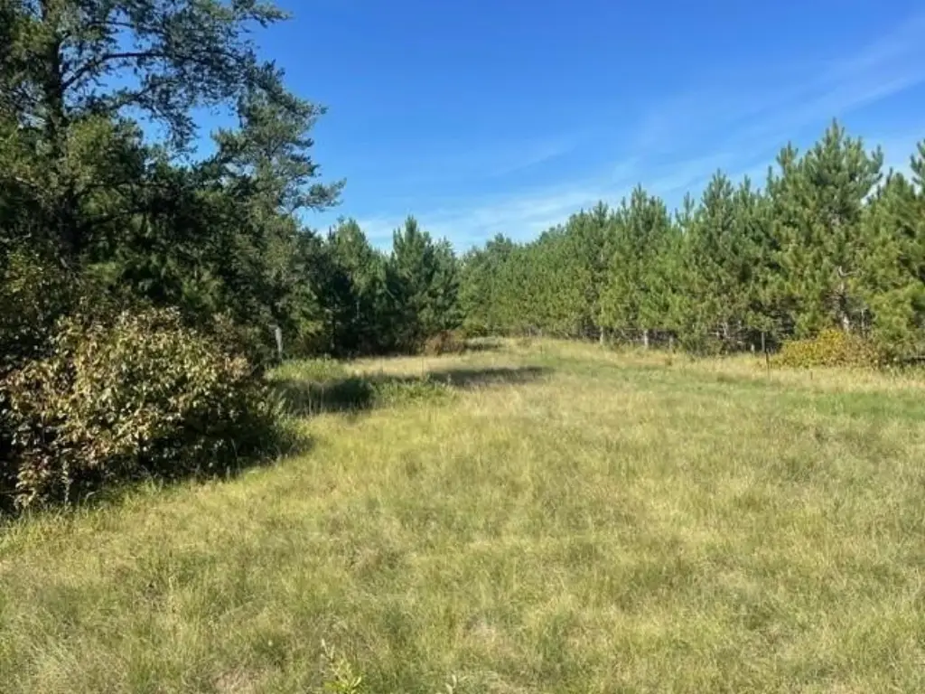 Picture 17
