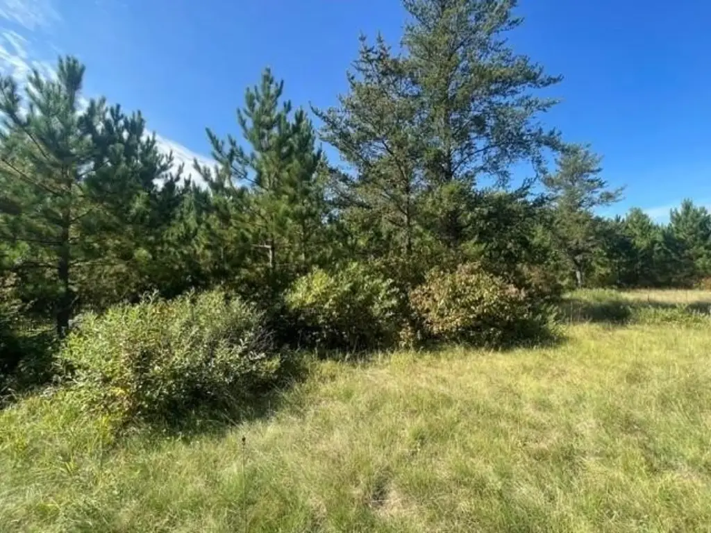 Picture 14