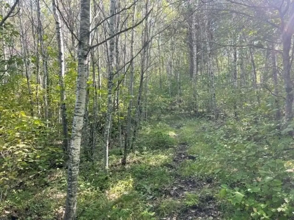 Picture 19