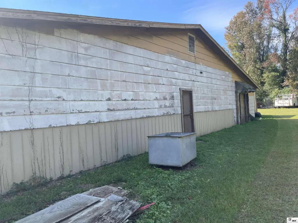 Picture 28