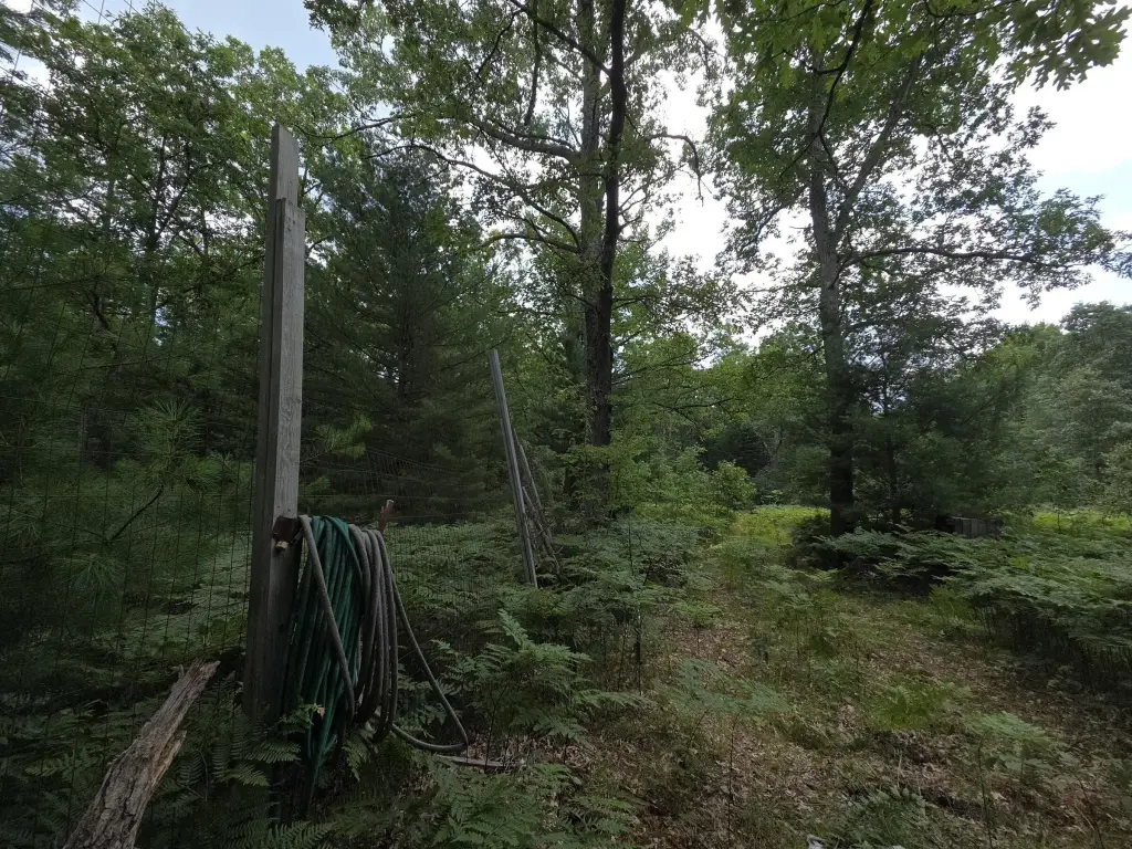 Picture 43