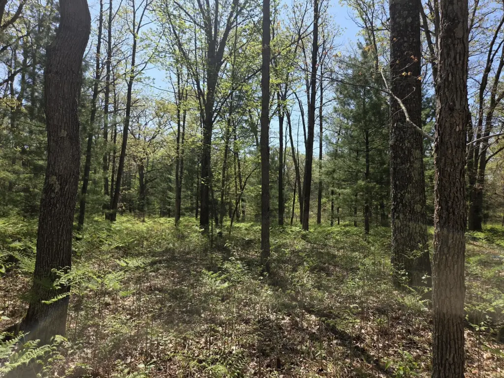 Picture 19