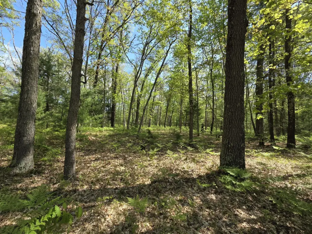 Picture 25