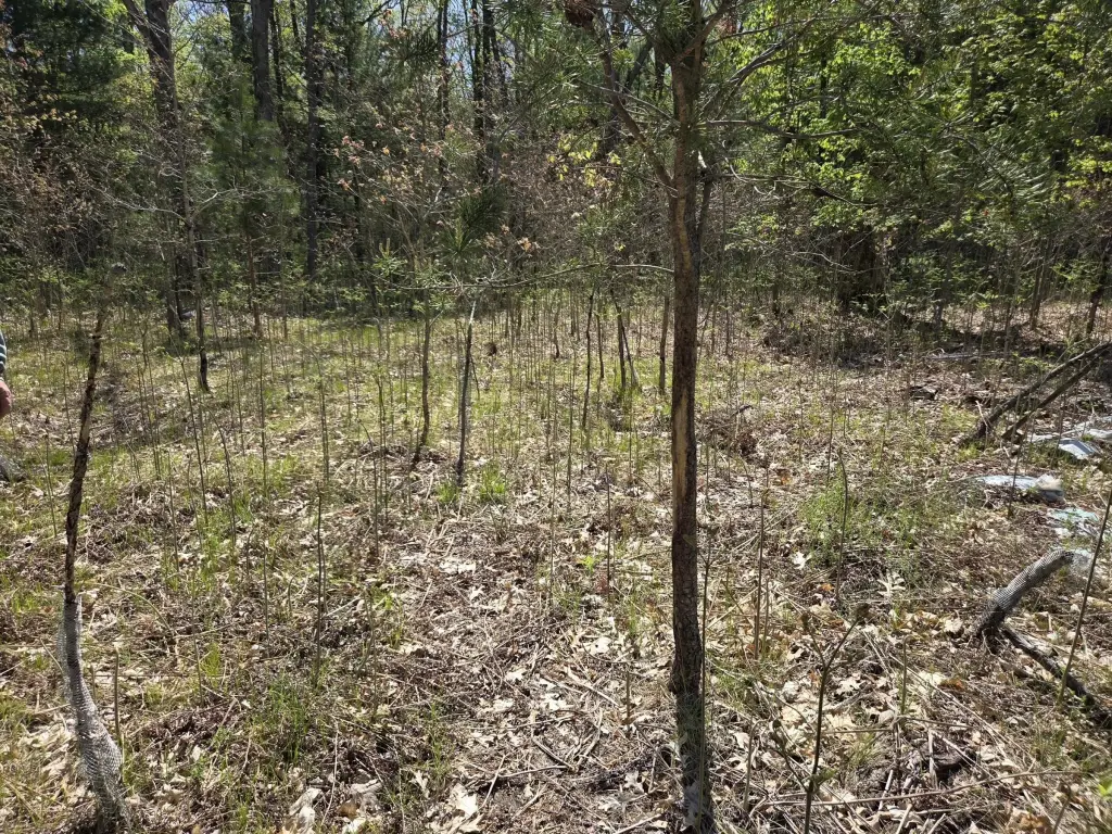 Picture 16