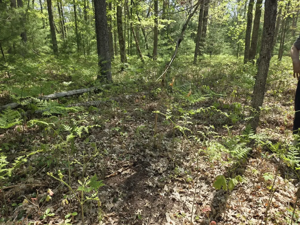 Picture 17