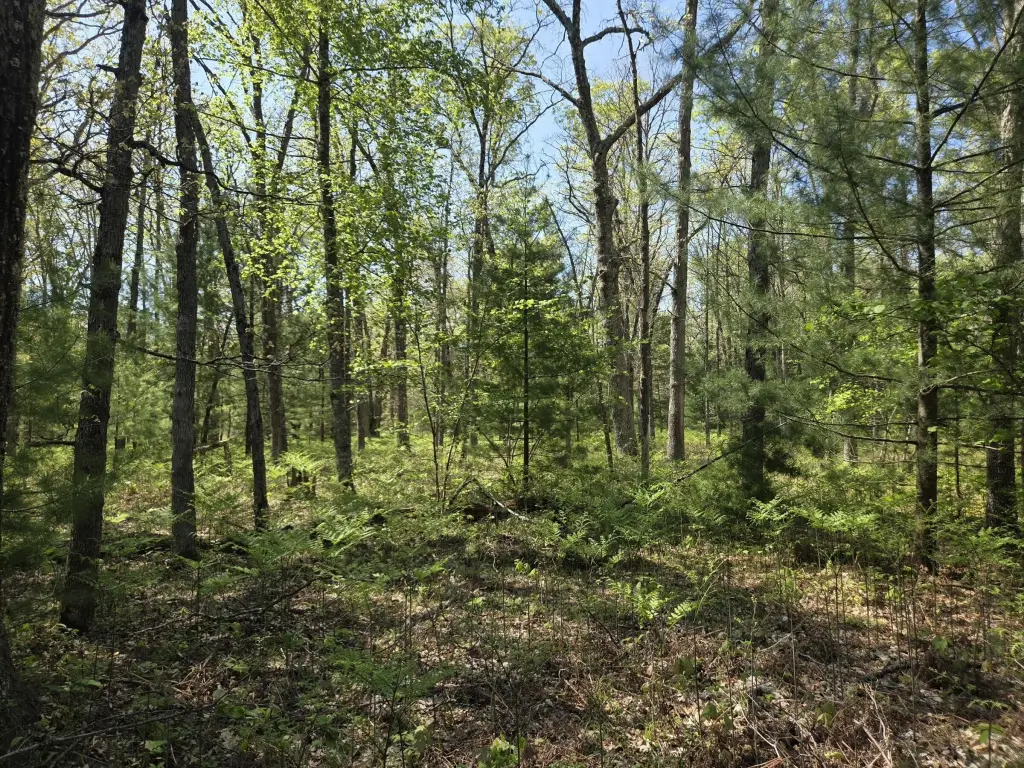 Picture 20