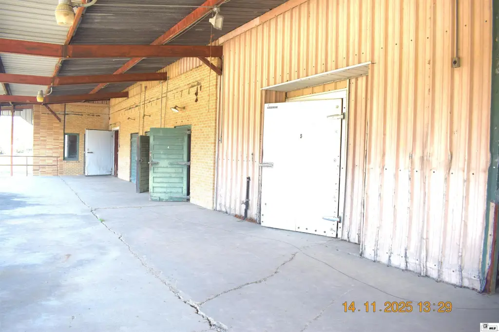 Picture 8