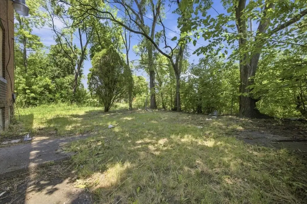 Picture 40