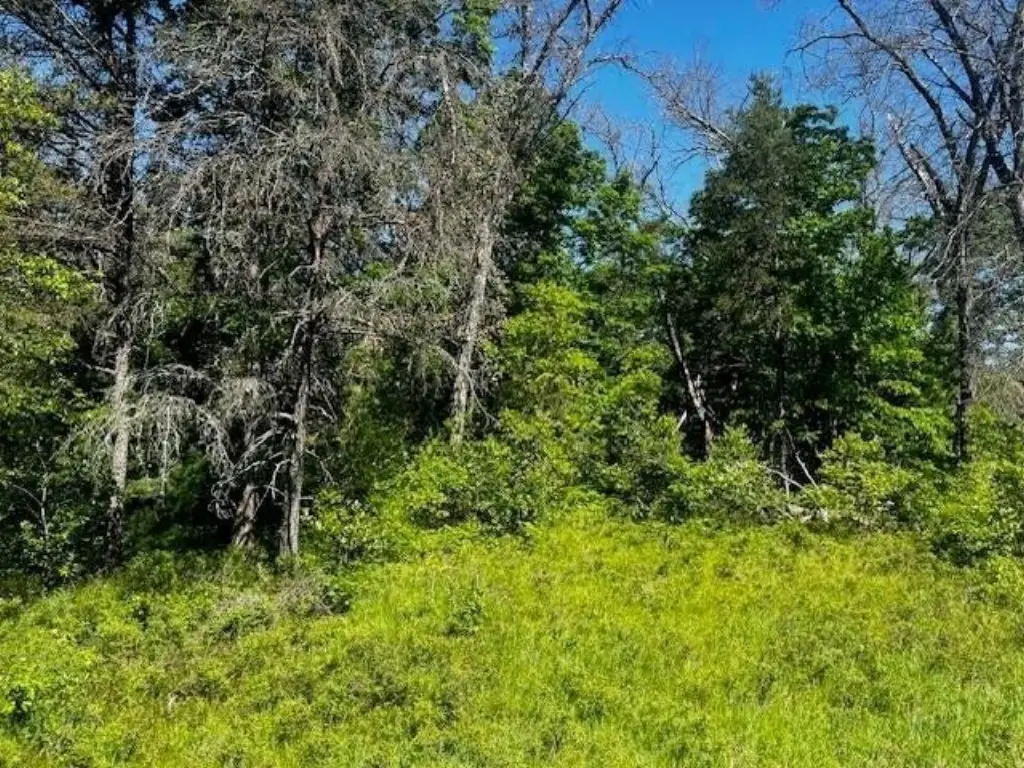 Picture 8