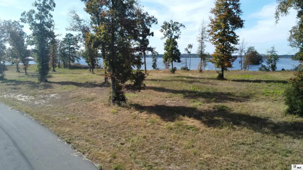 Picture 2